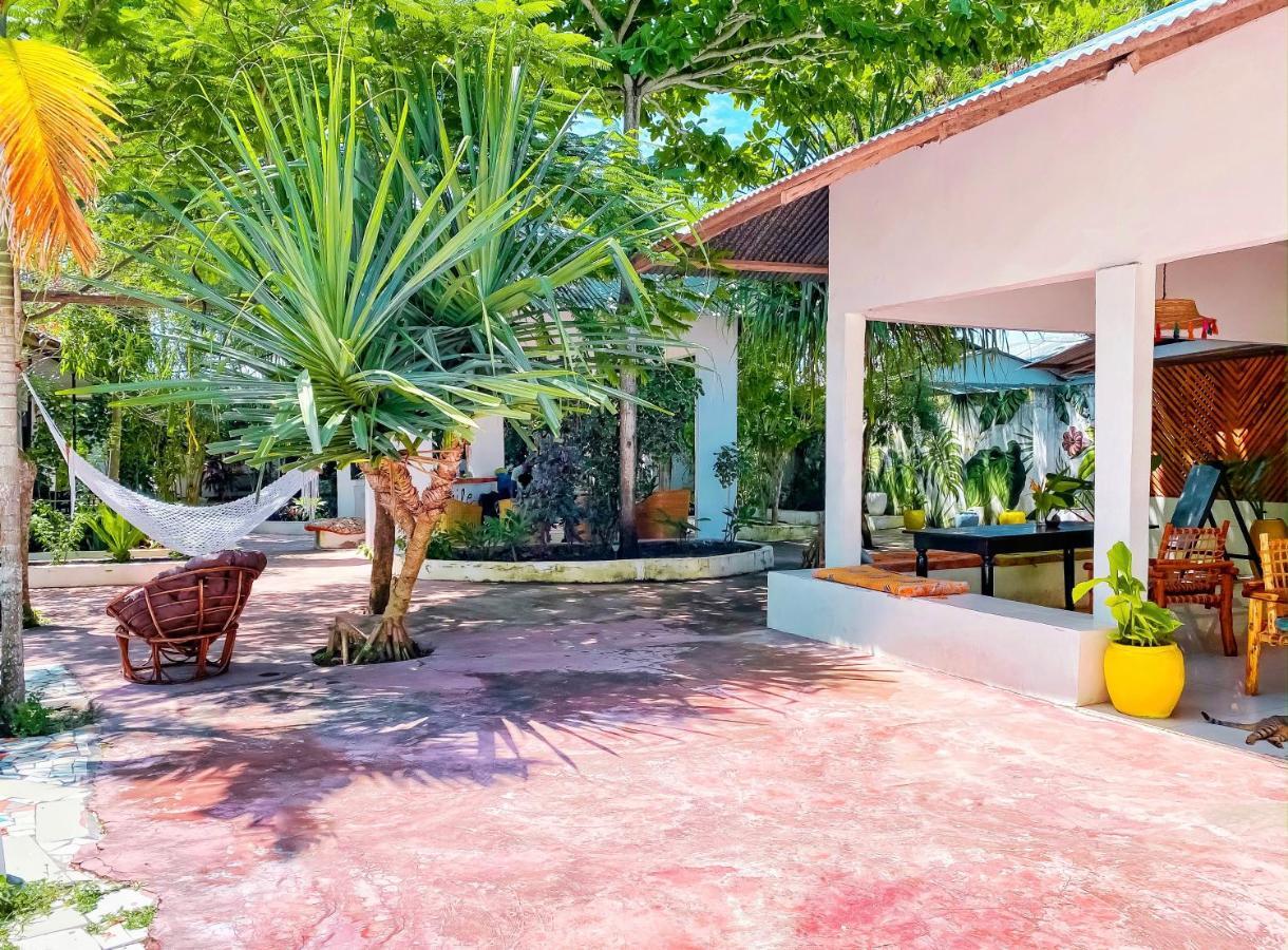 Papaya Guest House ナングウィ エクステリア 写真